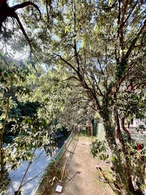 SeaHawk Resort Bhimtal