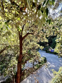SeaHawk Resort Bhimtal
