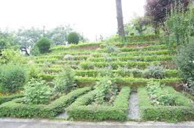 The Pine Crest