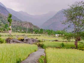 Himalayan River Garden