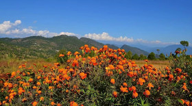 Hardik Resort