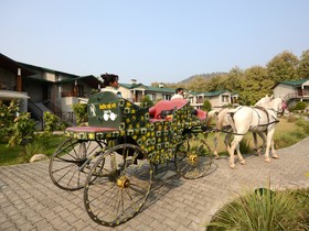 Aahana The Corbett Wilderness