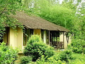 Jims Jungle Retreat