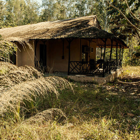 Jims Jungle Retreat