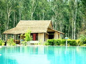 Jims Jungle Retreat