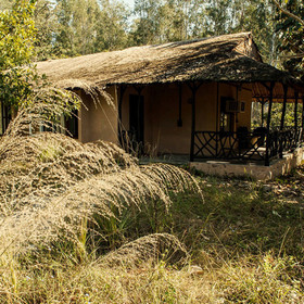 Jims Jungle Retreat