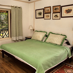 Jims Jungle Retreat