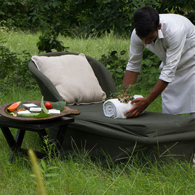 Jims Jungle Retreat