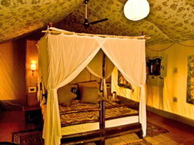Jims Jungle Retreat