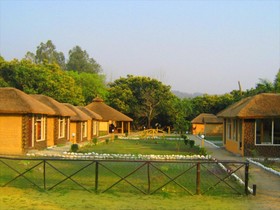 Jungle Paradise Retreat