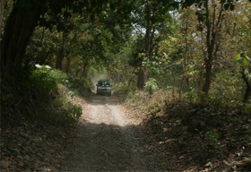 Kyari Corbett