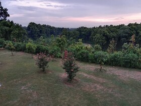 Aar Resort And Spa
