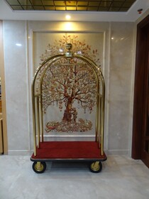 Comfort Hotel GMS Grand