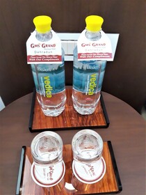 Comfort Hotel GMS Grand
