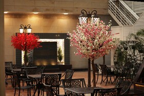 Comfort Hotel GMS Grand