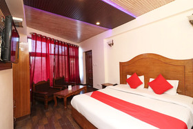 Hotel Anand Plaza by OYO