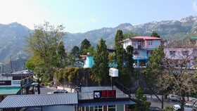 Hotel Rex