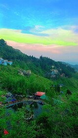 Hotel The Pine Villa Mussoorie