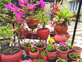 Ubex Home Dehradun