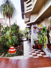 Ubex Home Dehradun