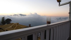Te Aroha Dhanachuli