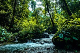 Haut Monde Hill Stream Resort and Spa