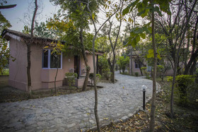 Ashoka's Tiger Trail Resort Corbett