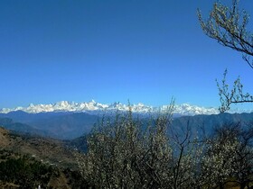 In Apple Estate