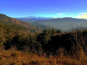 In Apple Estate