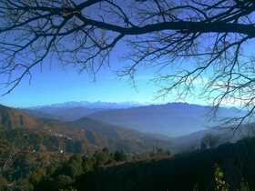 In Apple Estate