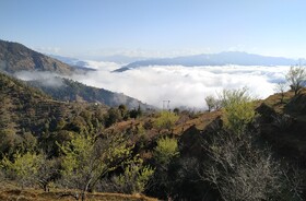 In Apple Estate