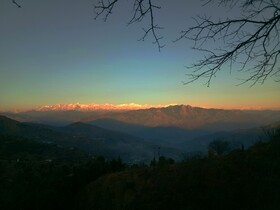In Apple Estate