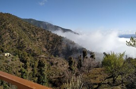 In Apple Estate