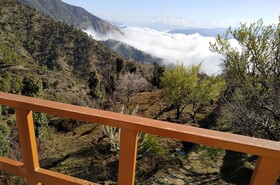 In Apple Estate