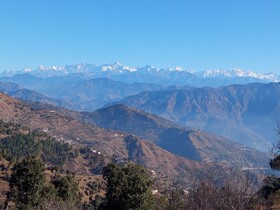In Apple Estate