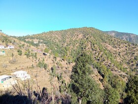 In Apple Estate