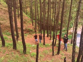 Pahadi House Home Stay