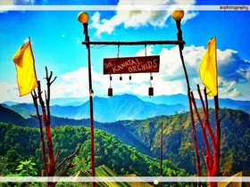 The Kanatal Orchids