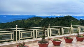 The Royals Apricot Garden