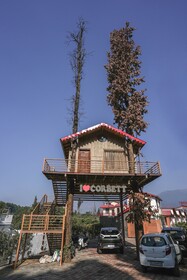 Kk Jungle View Resort