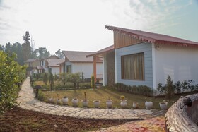 Kk Jungle View Resort