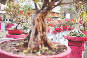 Hanumanti River View Resort