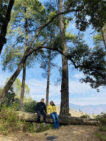 Ananta Prana Glamping Resort Hotel