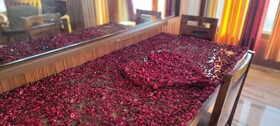 Casa Arhan Luxury Mussoorie Homestay