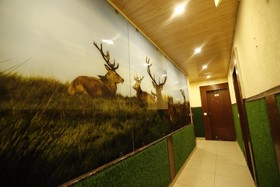 Hotel Kings Inn