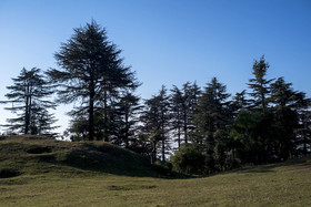Hotel Mosaic Mussoorie