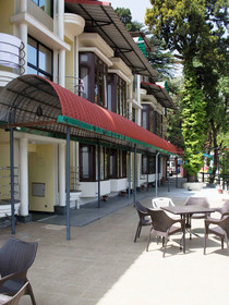 Hotel Oak Bush