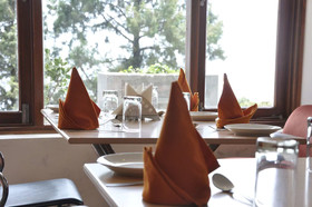 Rosa Green n Breeze resort Mussoorie