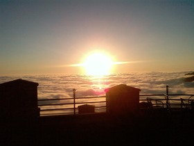 Rosa Green n Breeze resort Mussoorie