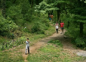 Ayar Jungle Resort